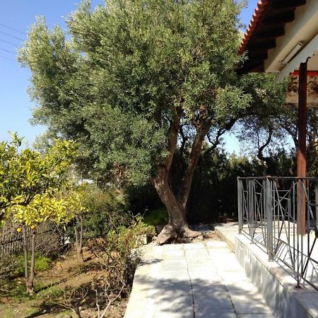 Gerakina Beach Cottage ซากูเดีย ภายนอก รูปภาพ