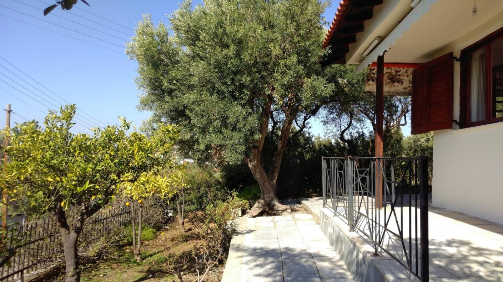 Gerakina Beach Cottage ซากูเดีย ภายนอก รูปภาพ